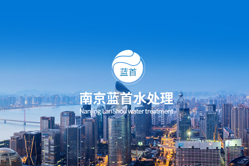 凤冈建站-南京蓝首水处理设备有限公司